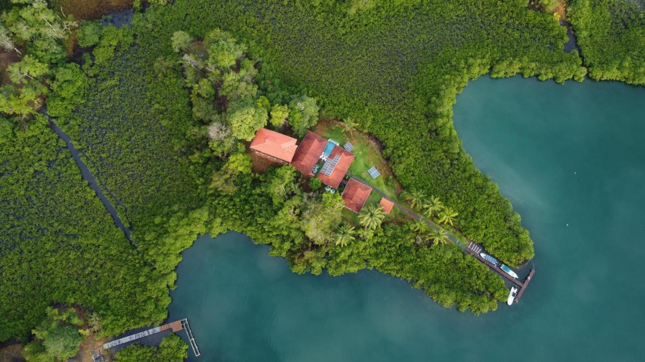 Casa Marlin Bed & Breakfast Bocas Town Dış mekan fotoğraf