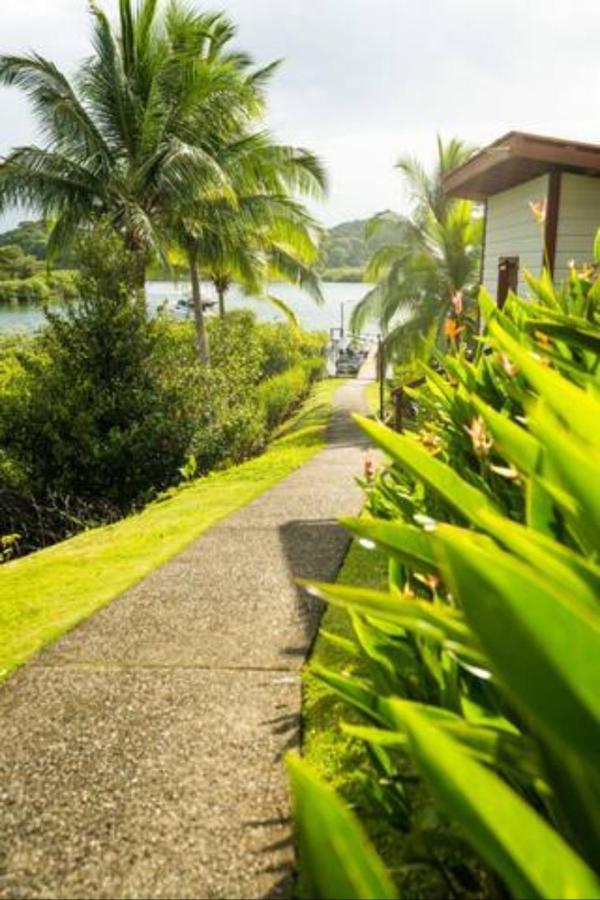 Casa Marlin Bed & Breakfast Bocas Town Dış mekan fotoğraf