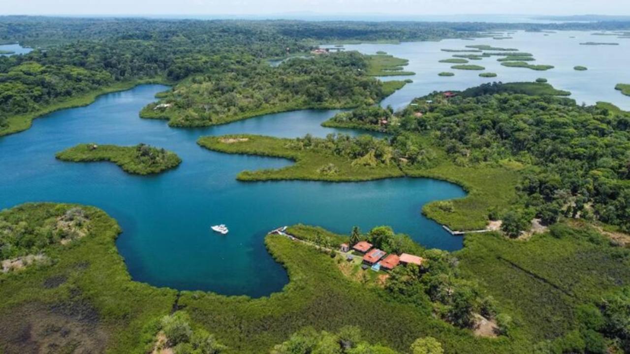 Casa Marlin Bed & Breakfast Bocas Town Dış mekan fotoğraf